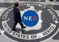 Ned1 Ned1