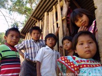 panama Ngobe Bugle 2