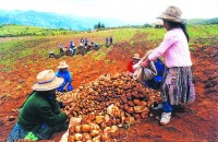 seguridad-alimentaria