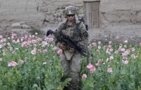 afg soldado entre amapolas