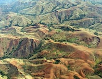 De esto no se habla: los biocombustibles empeoran el cambio climático De esto no se habla: los biocombustibles empeoran el cambio climático