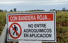 Cultivos transgénicos y plaguicidas: las regiones más contaminadas en Chile