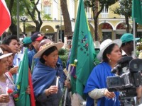 bol trabajadoras