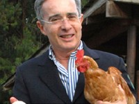 col uribe con gallo