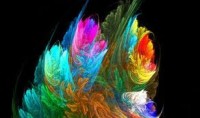 creacion artistica