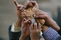 crisis alimentaria
