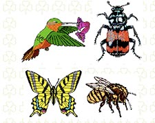 Insectos: la falange por la vida