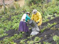 ec agricultura campesina2