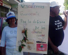 foto><br />
Estas leyes son parte de la conocida Agenda de implementación y plantean formas de patentes sobre semillas y plantas para proteger “supuestas invenciones e innovaciones creadas por fitomejoradores” afirmó Pacheco, quien advirtió que con la ratificación de este convenio UPOV, Costa Rica se asociaría al grupo de países que ya han adoptado estas políticas de patentes y propiedad intelectual.</p>
<p>Fabián Pacheco, presidente de la Federación Costarricense para la Conservación del Ambiente (FECON) sostuvo que de aprobarse estas leyes “provocarán daños profundos e irreversibles en la agricultura nacional, en nuestra seguridad y soberanía alimentaría así como en el ambiente y la biodiversidad” razones que las hacen “leyes social y éticamente inaceptables porque promueven la privatización de la vida y el conocimiento tradicional”.</p>
<p>Para alertar a la ciudadanía sobre los peligros de la aprobación del proyecto de Ley UPOV-1991, los activistas recordaron la importancia que tienen las semillas en la cosmovisión del hombre y la mujer del campo y denunciaron que a través de esta ley “se quiere despojar a los indígenas y campesinos de las semillas que han reproducido por miles de años” y que es, además, el mecanismo mediante el cual “van a imponer el uso de semillas transgénicas” en el país.</p>
<p>Los ecologistas también llamaron a atención sobre los efectos sociales que tendrá la aplicación de estas leyes “ya que habilita a los funcionarios de gobierno y judiciales a tratar a los agricultores como delincuentes”.</p>
<p>Los ecologistas, agricultores e indígenas que participaron de las actividades de protesta en contra de la Ley UPOV exigieron el retiro inmediato de la Asamblea Legislativa y recordaron a los diputados, que sometieron a consideración una propuesta de referéndum por iniciativa popular, ante el Tribunal Supremo de Elecciones.</p>
<p>La solicitud para referéndum por iniciativa popular incluye los proyectos de ley que se tramitan bajo los expedientes legislativos 16.327 (“Ley de Obtenciones Vegetales”) y 16.590 para la Aprobación del Convenio Internacional para la Protección de Obtenciones Vegetales. Incluye también la recolección de firmas durante un período de tiempo prudencial para solicitar la realización de un plebiscito sobre las leyes en cuestión. </p>
<p>El Tribunal Supremo Electoral ya recibió la solicitud y tendrá que expedirse sobre la misma en los próximos días.</p>
<p><img src=