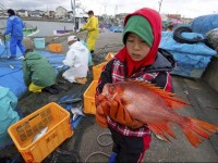 japon contaminacion