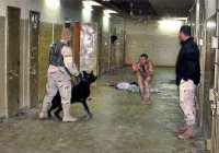 abu ghraib 12