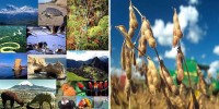 unasur recursos naturales