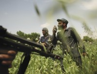 Ambush in Taliban held Oruzgan Province