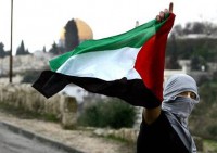 palestina banderazo