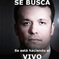 ch codelco se busca