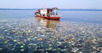 MEDITERRANEO CONTAMINADO