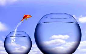 La ambición SurySur