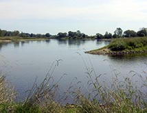 Europa: ¿existe la izquierda al otro lado del río Óder? Europa: ¿existe la izquierda al otro lado del río Óder?