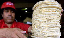 México, el crimen: tortillas transgénicas