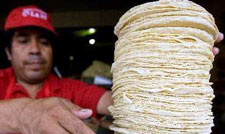 México, el crimen: tortillas transgénicas México, el crimen: tortillas transgénicas