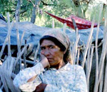 Argentina: las mujeres wichí, las mujeres pobres y el cáncer